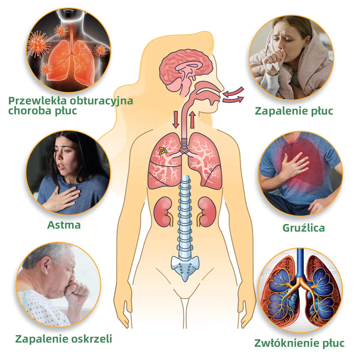 Oficjalny sklep💝✅:Thonesr® Ziołowy Inhalator Oczyszczający Płuca  🫁Zatwierdzony przez URPL(💝 kaszel, świszczący oddech, duszność, plwocina, zatkany nos, zapalenie oskrzeli, zapalenie oskrzeli, objawy alergii, dyskomfort w płucach💝)👨‍⚕️