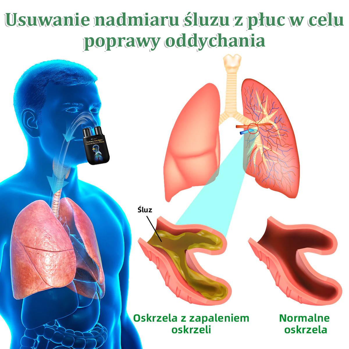 Oficjalny sklep💝✅:Thonesr® Ziołowy Inhalator Oczyszczający Płuca  🫁Zatwierdzony przez URPL(💝 kaszel, świszczący oddech, duszność, plwocina, zatkany nos, zapalenie oskrzeli, zapalenie oskrzeli, objawy alergii, dyskomfort w płucach💝)👨‍⚕️